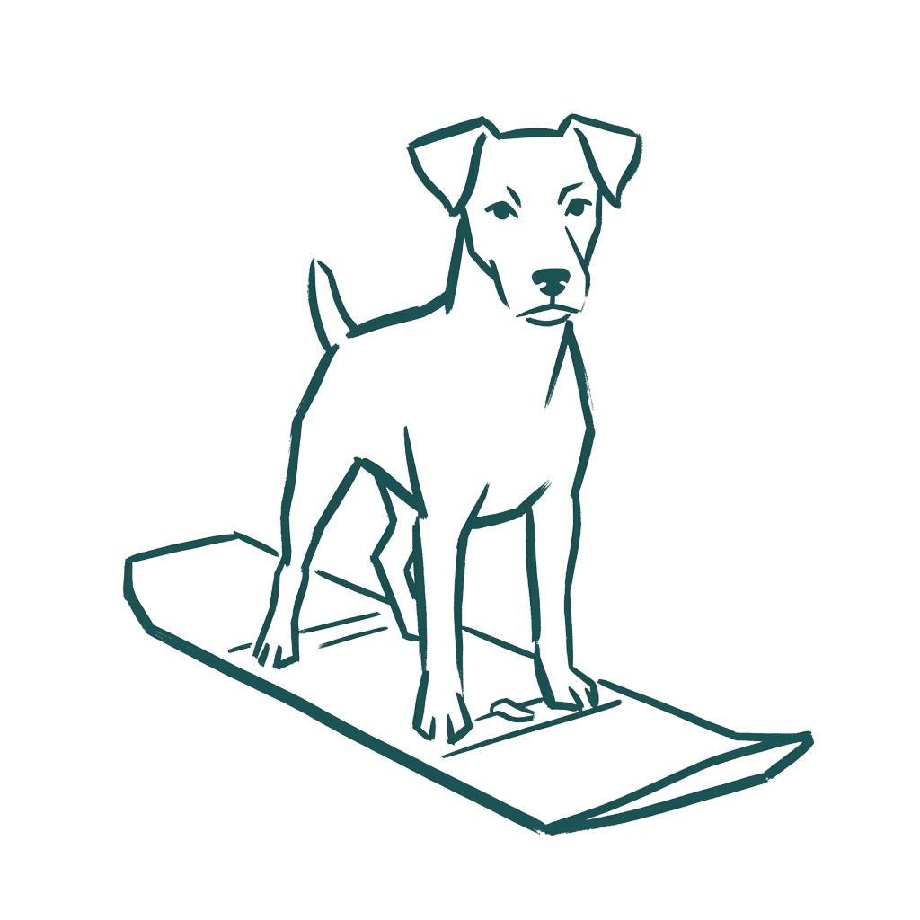Illustration of Lijána the terrier on a snowboard